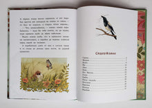 Загрузить изображение в средство просмотра галереи, Сорочьи сказки. А.Толстой