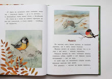 Загрузить изображение в средство просмотра галереи, Сорочьи сказки. А.Толстой