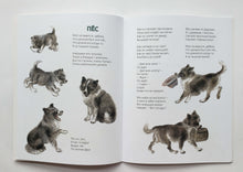 Загрузить изображение в средство просмотра галереи, Вот они какие. В.Лифшиц