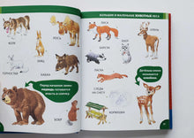 Загрузить изображение в средство просмотра галереи, Энциклопедия для малышей