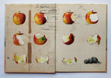 Загрузить изображение в средство просмотра галереи, Мышиная война. Х.Банш