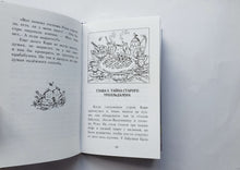 Загрузить изображение в средство просмотра галереи, Кари и ледяной дракон. Ф.Венде