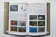 Загрузить изображение в средство просмотра галереи, Биология. 5 класс. Учебник. Базовый уровень. ФГОС. Пасечник, Суматохин, Гапонюк