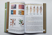 Загрузить изображение в средство просмотра галереи, Биология. 5 класс. Учебник. Базовый уровень. ФГОС. Пасечник, Суматохин, Гапонюк