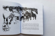 Загрузить изображение в средство просмотра галереи, Братья Львиное Сердце. А.Линдгрен