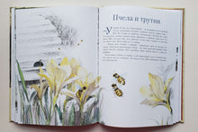 Загрузить изображение в средство просмотра галереи, Сказки и легенды. Л.да Винчи