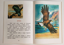 Загрузить изображение в средство просмотра галереи, Лев и собачка. Л.Толстой