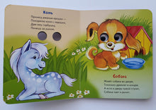 Загрузить изображение в средство просмотра галереи, Кто где живет. Книжка с глазками