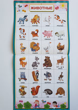 Загрузить изображение в средство просмотра галереи, Все обучающие плакаты под одной обложкой