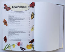 Загрузить изображение в средство просмотра галереи, Шкатулка сказок