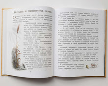 Загрузить изображение в средство просмотра галереи, 100 сказок и историй. Леонардо Да Винчи