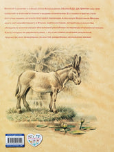 Загрузить изображение в средство просмотра галереи, 100 сказок и историй. Леонардо Да Винчи