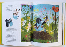 Загрузить изображение в средство просмотра галереи, Кротик. З.Милер