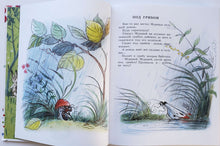 Загрузить изображение в средство просмотра галереи, Книга сказок В.Сутеева