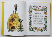 Загрузить изображение в средство просмотра галереи, Волшебные очки. Лесные истории, сказки, стихи. Н.Грибачев