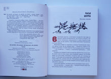 Загрузить изображение в средство просмотра галереи, Ни далеко, ни близко, ни высоко, ни низко. Сказки славян