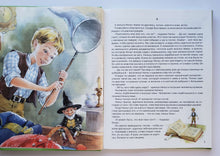 Загрузить изображение в средство просмотра галереи, Чудесное путешествие Нильса с дикими гусями. С.Лагерлеф