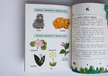 Загрузить изображение в средство просмотра галереи, Порядок вокруг. Экологические сказки для детей. Е.Ульева
