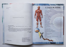 Загрузить изображение в средство просмотра галереи, Тело человека. С дополненной реальностью 4D