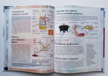 Загрузить изображение в средство просмотра галереи, Тело человека. С дополненной реальностью 4D