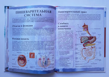 Загрузить изображение в средство просмотра галереи, Тело человека. С дополненной реальностью 4D