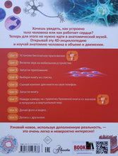 Загрузить изображение в средство просмотра галереи, Тело человека. С дополненной реальностью 4D