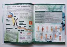 Загрузить изображение в средство просмотра галереи, Тело человека. С дополненной реальностью 4D
