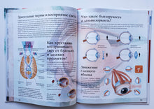 Загрузить изображение в средство просмотра галереи, Тело человека. С дополненной реальностью 4D