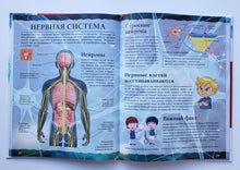 Загрузить изображение в средство просмотра галереи, Тело человека. С дополненной реальностью 4D