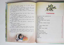 Загрузить изображение в средство просмотра галереи, Жили-были Ёжики. Сказочные истории. А.Усачев