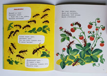 Загрузить изображение в средство просмотра галереи, Дорожка домой. К.Райс