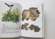 Загрузить изображение в средство просмотра галереи, Друзья. Е.Чарушин