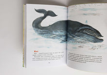 Загрузить изображение в средство просмотра галереи, Друзья. Е.Чарушин