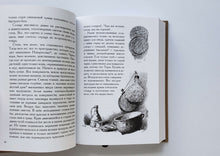 Загрузить изображение в средство просмотра галереи, Миргород. Н.Гоголь