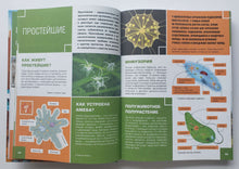 Загрузить изображение в средство просмотра галереи, Большая детская 4D энциклопедия с дополненной реальностью