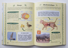 Загрузить изображение в средство просмотра галереи, Большая 4D-книга для девочек с дополненной реальностью