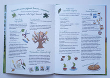 Загрузить изображение в средство просмотра галереи, Бобёр Боря-следопыт! Кто прячется в лесу? Книжка подготовишки