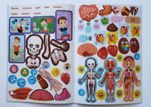 Загрузить изображение в средство просмотра галереи, Как устроено моё тело. Книжка с наклейками