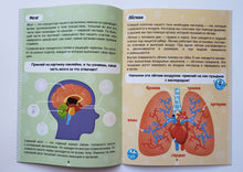 Загрузить изображение в средство просмотра галереи, Как устроено моё тело. Книжка с наклейками