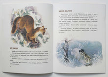 Загрузить изображение в средство просмотра галереи, В нашем лесу. В.Чаплина