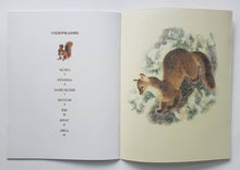 Загрузить изображение в средство просмотра галереи, В нашем лесу. В.Чаплина