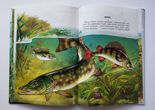 Загрузить изображение в средство просмотра галереи, Жизнь в пресной воде. Школьный путеводитель