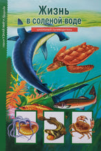 Загрузить изображение в средство просмотра галереи, Жизнь в соленой воде. Школьный путеводитель