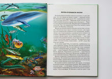 Загрузить изображение в средство просмотра галереи, Жизнь в соленой воде. Школьный путеводитель