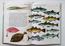 Загрузить изображение в средство просмотра галереи, Жизнь в соленой воде. Школьный путеводитель