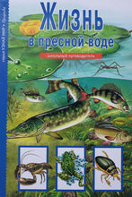Загрузить изображение в средство просмотра галереи, Жизнь в пресной воде. Школьный путеводитель
