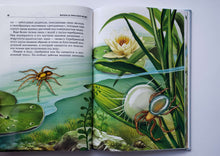 Загрузить изображение в средство просмотра галереи, Жизнь в пресной воде. Школьный путеводитель