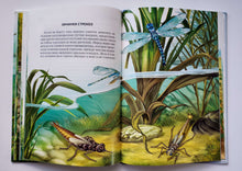 Загрузить изображение в средство просмотра галереи, Жизнь в пресной воде. Школьный путеводитель