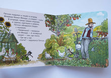 Загрузить изображение в средство просмотра галереи, Книжка-картонка. Четыре секрета Финдуса. С.Нурдквист