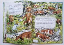 Загрузить изображение в средство просмотра галереи, Переполох в огороде. С.Нурдквист